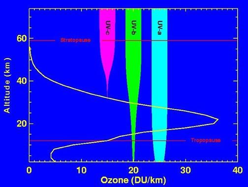 Die Ozonschicht http://upload.wikimedia.