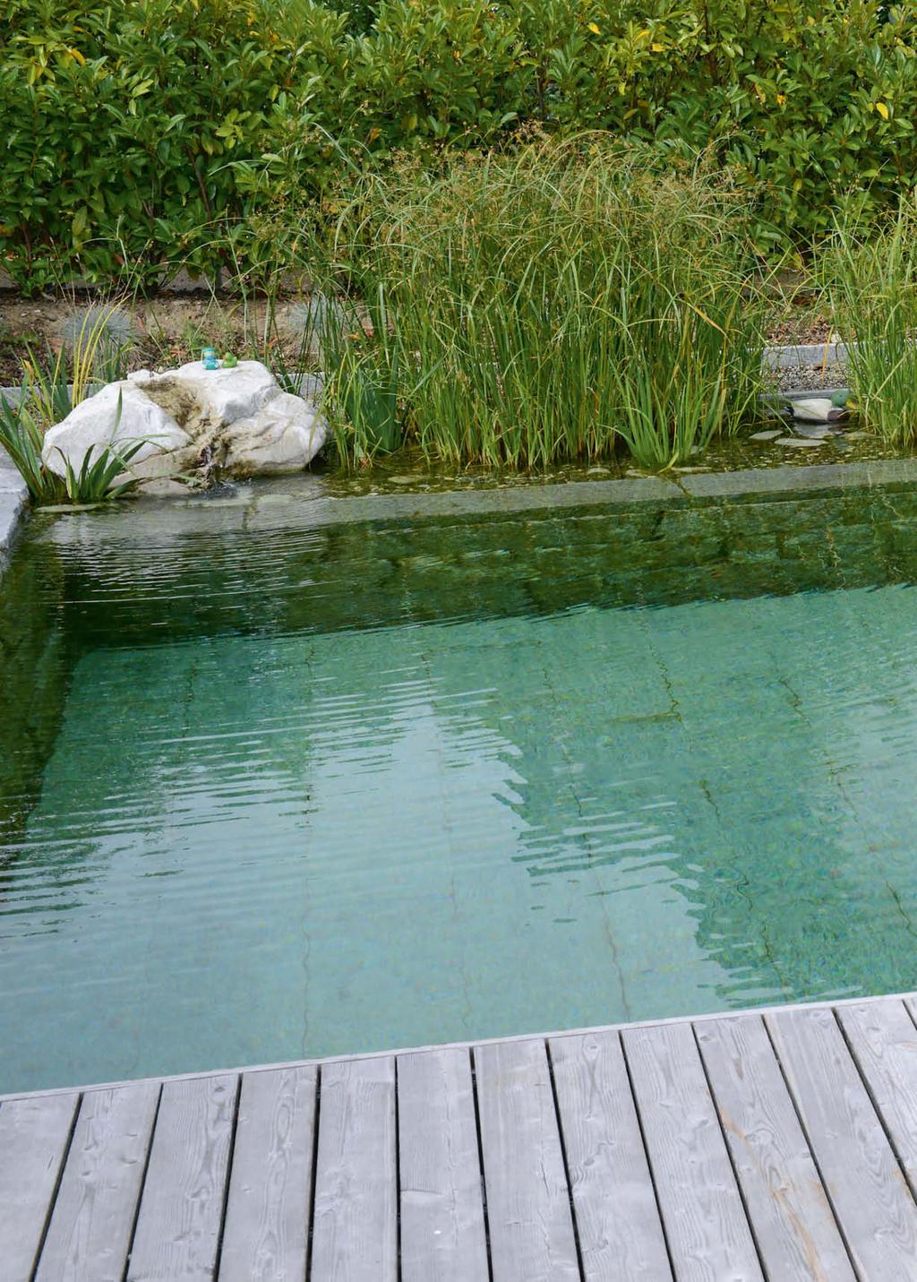 74 Wasser DER EIGENE SCHWIMMTEICH Traum in Grünblau TEXT & FOTOS Caroline Zollinger Immer mehr Gartenbesitzer verwirklichen sich ihren Traum vom eigenen