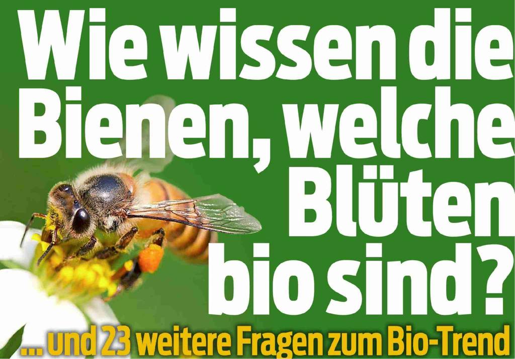 letzten grossen Interview am Montag zu BLICK. «Wir hätten gravierende Verteilungskämpfe.» Darum spricht sich Bolliger für integrierte Produktion aus, kurz IP.