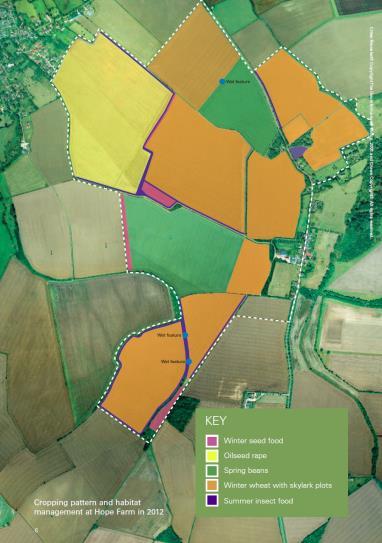 Vorbild: Hope Farm der RSPB in UK 1999 Kauf eines 181 ha großen konventionellen, für die Gegend typischen Ackerbaubetriebs Konventionelle Bewirtschaftung Anbau von Saatmischungen für überwinternde