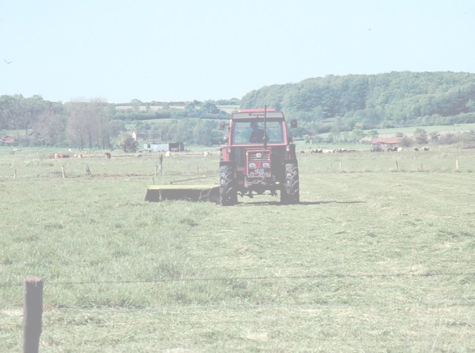 Gemeinschaftlicher Wiesenvogelschutz Schutz von Flächen, auf denen Wiesenvögel aktuell brüten oder ihre