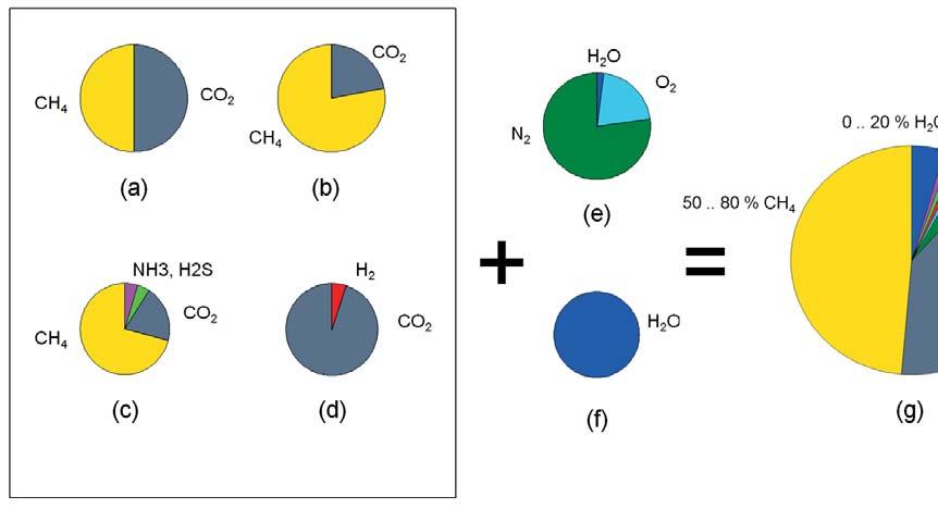 BIOGAS: DIE METHANOGENESE WASSERSTOF F ESSIGSÄURE CH 4 Folie 12 GASGEMISCH - BIOGAS