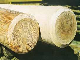 Palisaden + Pfähle in Eiche und Lärche Eiche Lärche Alternative zum kesseldruckimprägnierten Holz. Beide Holzarten haben sehr gute Festigkeitsund Elastizitätseigenschaften.