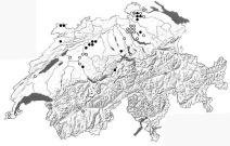 National Prioritäre Arten: ein neues Instrument Roadmap Artenförderung in der Schweiz Strategie
