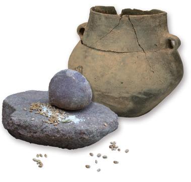 Ältere Bronzezeit Die Zeit um 1250 v. Chr. heißt ältere Bronzezeit. Die Menschen wohnten in einzelnen Häusern auf kleinen Lichtungen.
