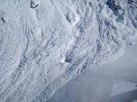 Abbildung 65: Lawinenablagerung mit dem Fundort des Verstorbenen (Kreis). Er war unter 2 m Schnee verschüttet (Foto: Kantonspolizei Wallis, 21.03.2011).