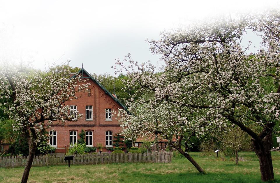 Streuobstwiesen - vielfältige Lebensräume Die Streuobstwiese auf Hof Möhr Streuobstwiesen sind struktur- und artenreich und damit von großer Bedeutung für den Naturhaushalt.