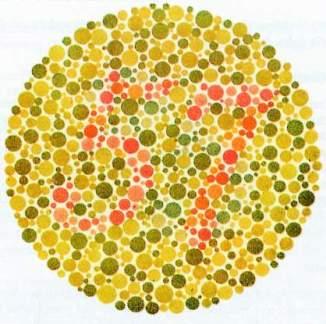 Zur Diagnose von Farbfehlsichtigkeit werden Muster erzeugt, die den entsprechenden Farbfehlsichtigen als