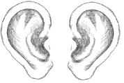 Dein Ohr hat nur wenige Möglichkeiten, sich zu schützen. Deshalb musst du gut darauf aufpassen! Hier erfährst du, wie das Hören funktioniert und welche Gefahren deinem Hörsinn drohen.