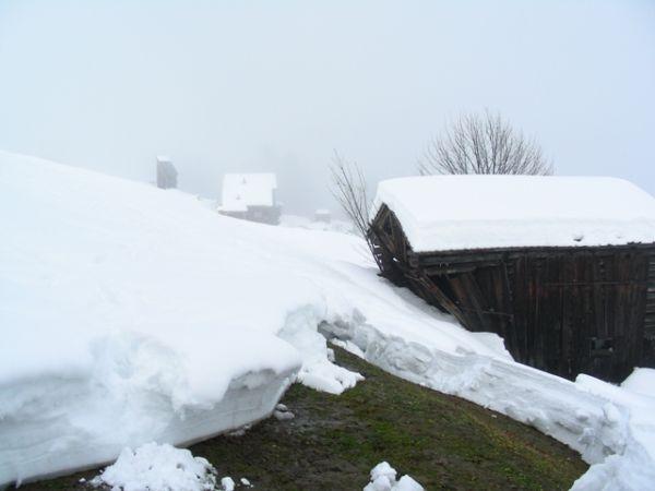 Abb. 2: Schneesportgebiet Disentis. Am Sonntag, 21.12. lösten sich Lawinen spontan und bei der Fahrt mit einer Pistenmaschine gab es auch Fernauslösungen (Foto: T. Flepp, 21.12.2008). Abb.