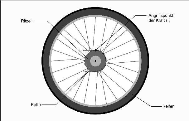 34. Das Hebelgesetz am Fahrrad erkunden 13 von 26 42 M 7 Das Hinterrad Tritt man in die Pedale, wird die Kraft der Beine über die Kette zunächst auf das Ritzel des Hinterrades weitergeleitet.
