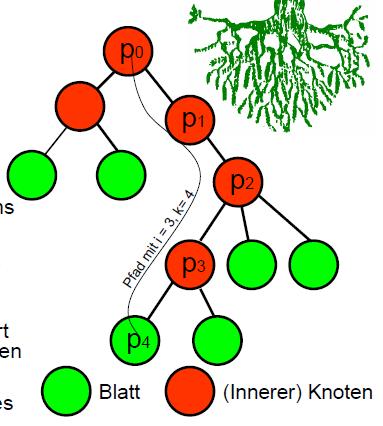 Oberster Knoten ist die Wurzel des Baums (kein Vorgänger oder Vater) Eine Folge p 0.