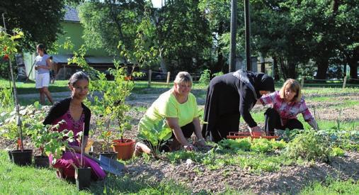 Durch gemeinsame Gartenarbeit werden Nachhaltigkeit, Gesundheit und Ernährung thematisiert.