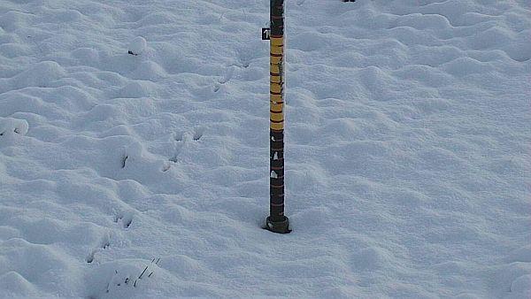 Abb. 5: Die Webcam auf dem Versuchsfeld Weissfluhjoch 5WJ, 2540 m, GR entlarvte den Hasen, der am Morgen des 11.09. die Schneemessung übernehmen wollte.