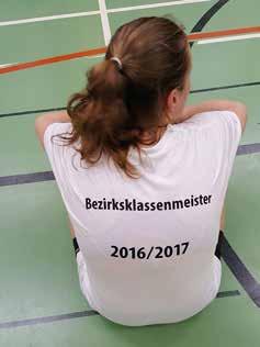 Für Wiebke Möller und Kerstin Frohburg war es ein gelungener Abschluss ihrer langjährigen Volleyball-Karriere: Beide Spielerinnen hatten schon zu Saisonbeginn angekündigt, ihre aktive