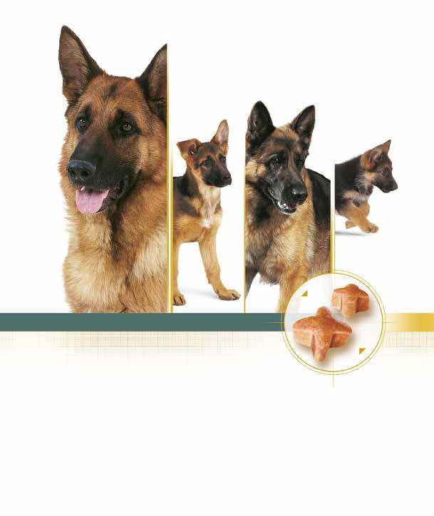 Nahrung nach Maß: Speziell für den Deutschen Schäferhund JUNIOR Das Ernährungsprogramm für den Deutschen Schäferhund: JUNIOR und ADULT ADULT