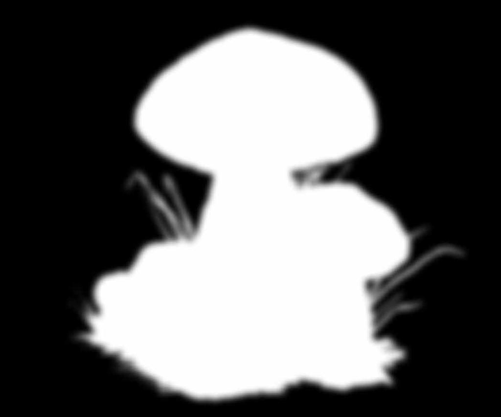 Flockenstieliger Hexenröhrling (Boletus erythropus) 10 20 15 x 5 S Ringloser