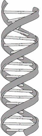 Entwicklung des Markenkerns/ DNA Was macht mich einzigartig? Was macht mich überlegen? Woran erkennt man mich?