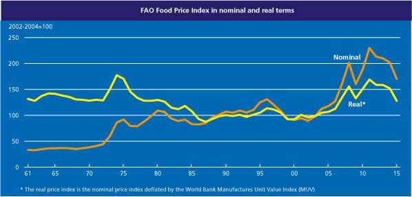 Globale Faktoren: Langfristige Preisanstieg für Nahrungsmittel, aber erhöhte Volatilität