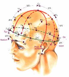 EEG Normalbefund