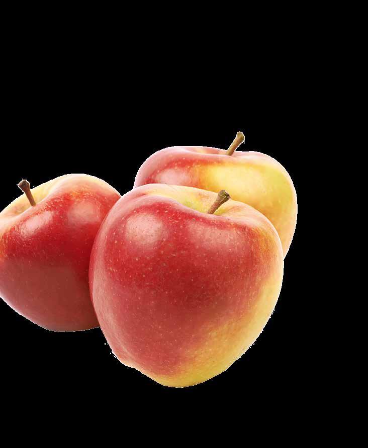 Sorten Apfelhimbeer, Apfelholunder und Apfelessig mit Blütenhonig KÜRBISKERNE / KÜRBISKERNÖL 5001 Kürbiskerne in den Sorten natur (200 g), geröstet &