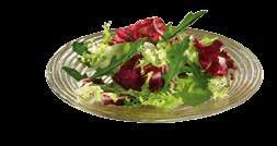 Salatmischungen gerüstet Mischsalat «Rustico» 02.
