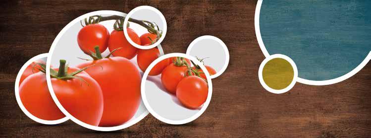 Tomaten Ab dem 3-4 Blattstadium oder nach dem Verpflanzen bis beginnender Fruchtfärbung 1,0-1,5 l/ha Bewässerung: 0,075-0,1% im Abstand von 10-14 Tagen Erfolg düngen!