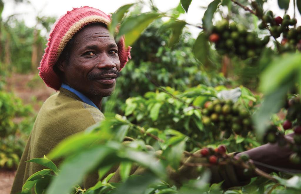 2 Nathalie Bertrams Titel: Elke Hinnenkamp AKTIV FÜR FAIRTRADE Seit fast 40 Jahren besteht die Bewegung für den Fairen Handel! Sie lebt von der Überzeu gungs kraft vieler tausend Menschen.