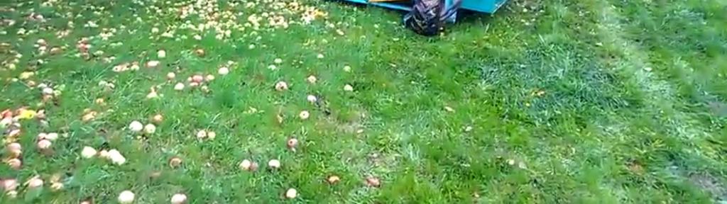 Die Maschine eignet sich besonders für kleine ( Kelter- ) Äpfel, die massenhaft am Boden liegen.