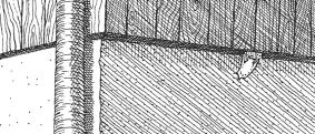 Nordfledermaus Zweifarbfledermaus Genutzte Strukturen Abb.