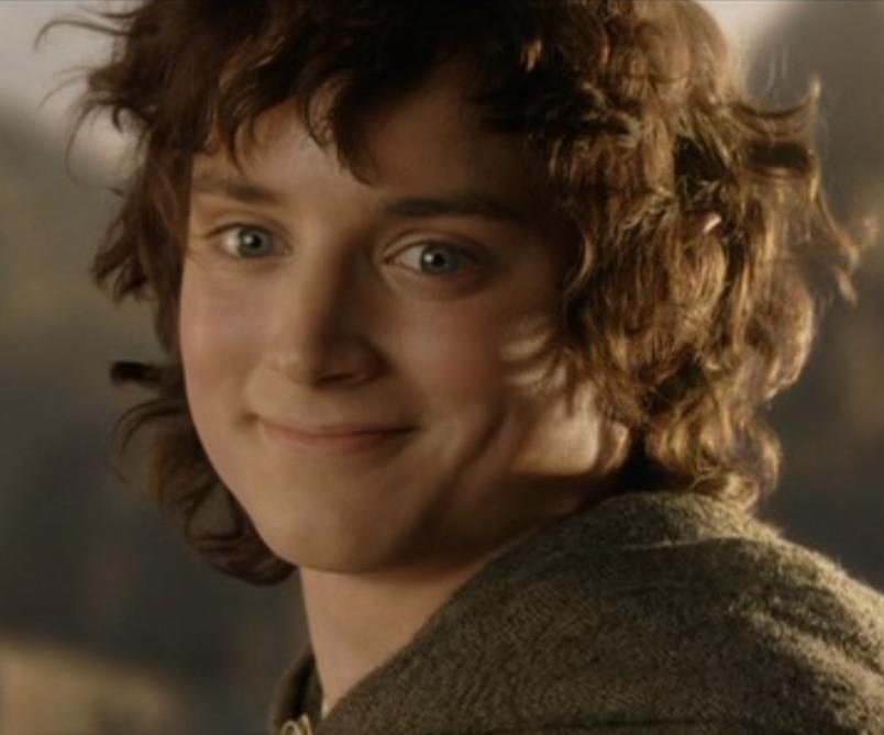 " Frodo antwortet: "Wir sind losgezogen, um das Auenland zu retten. Und es ist gerettet worden. Aber nicht für mich.