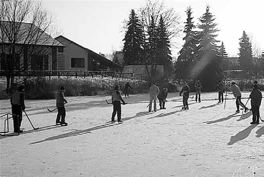 Kaum war das Eis auf dem Kötschlitzer Teich dick genug (es wurde mehrmals getestet), schon kamen die Leute und fuhren bei strahlendem Sonnenschein und eisiger Kälte Schlittschuh.