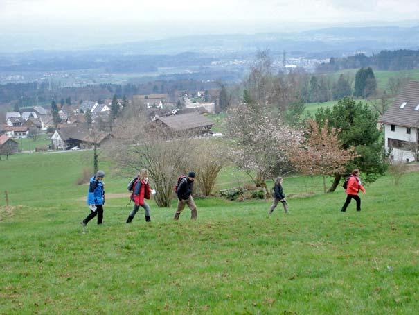 einer weiträumigen Schlaufe nähern wir uns dem Ebnerberg und üben den Gleichschritt.