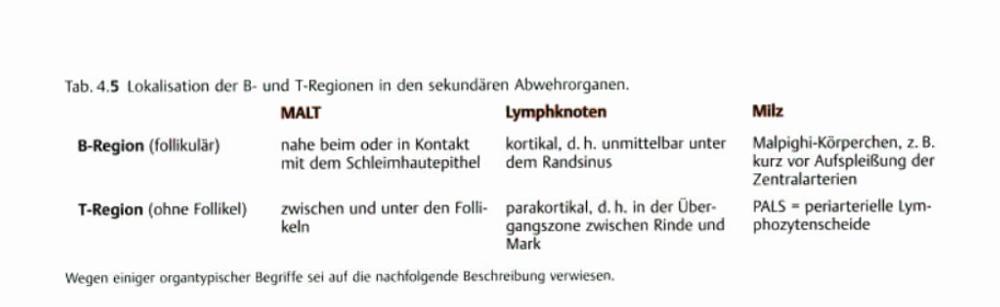 Abb.12: Übersicht der B und T Regionen in den sekundär