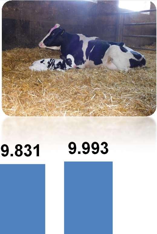 Entwicklung der Milchleistung Kilogramm abgelieferte Energie und Eiweiß korrigierte Milch je Kuh und Jahr 9.039 9.103 9.