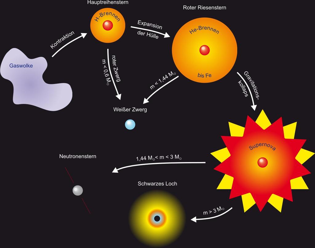 Wenn der Vorrat an Wasserstoff zu Ende geht, entwickelt sich der Stern je nach seiner ursprünglichen Masse zu einem Weißen