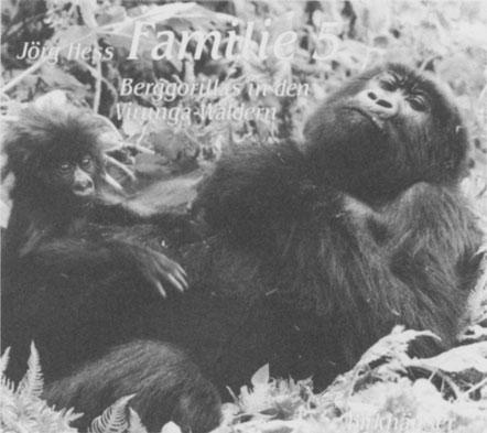 Gebunden ISBN 3-7643-2312-4 Jörg Hess ist Verhaltensforscher und beschäftigt sich seit 20 Jahren mit den Menschenaffen, vor allem mit der Mutter-Kind-Beziehung bei Gorillas.