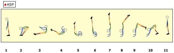 Bildnummer Bewegungsmerkmale 1-4 Stütz mit Ristgriff, Rückschwung 5 Rückverlagern der Schultern mit Beugen der Hüftgelenke auf etwa 160.