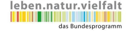 Förderung und auf F+E-Vorhaben Etablierung eines kommunalen Bündnisses (2011-2014) Bausteine: Ø Fachkongress 2012 Ø Jährliche Workshops zu den