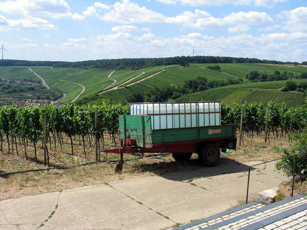 Anpassungsstrategie Klimawandel Bewässerungskonzept für den Fränkischen Weinbau Derzeit werden ca. 1.000 ha bewässert Davon jedoch nur ca.