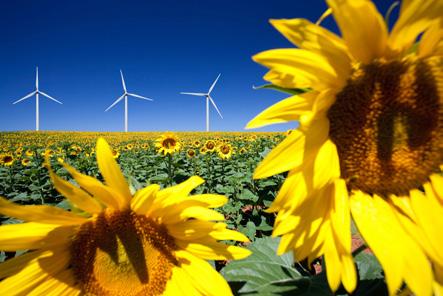 Renewable Energy Den erneuerbaren Energien gehört die Zukunft. Das haben wir früh erkannt und eigene Branchenlösungen für Wind-, Solar- und Bioenergie entwickelt.