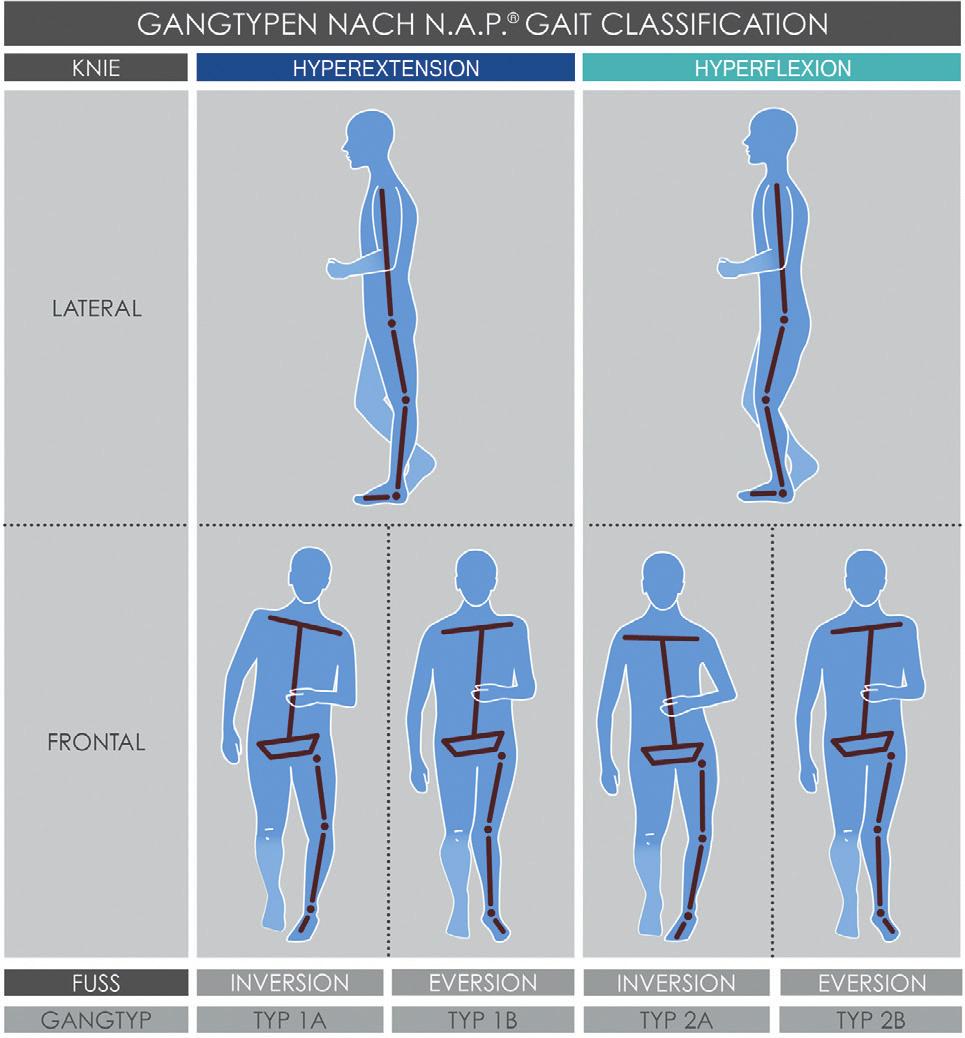 Classification (N.A.P. = Neuroorthopädische Aktivitätsabhängige Plastizität) beschreibt die Kniestellung sowie die Stellung des unteren Sprunggelenkes (USG) in mid stance.