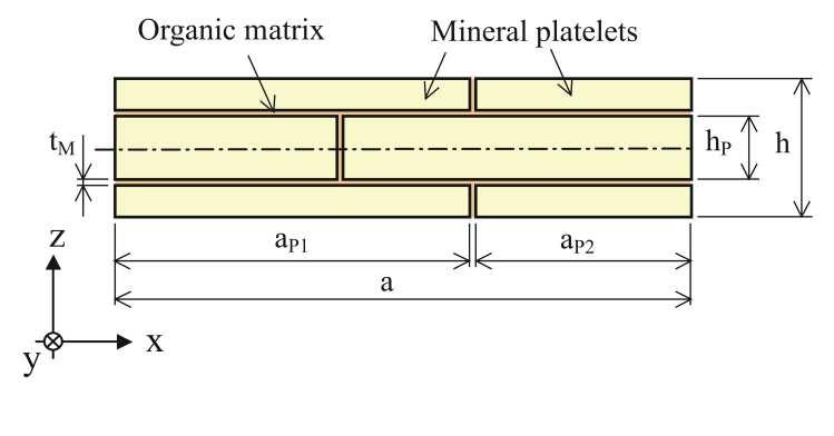 2 Plättchenstruktur Perlmutt stellt eine dreidimensionale Struktur aus gestapelten, durch eine dünne organische Schicht getrennten Mineralplättchen dar.