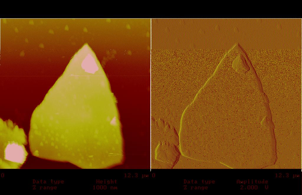 ev. Abbildung 42: EELS-Spektrum eines Aragonit-Plättchens. Mit dem Kraftmikroskop wurden einzelne aus dem Aragonit herausgelöste Plättchen untersucht.