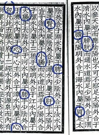 Das grundlegende Verständnis für die kosmische Einordnung der chinesischen Foramina verschwindet völlig bei der simplifizierenden westlichen Nummerierung von Akupunktur-Punkten (die eigentlich