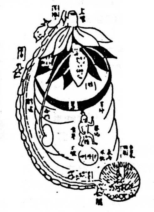 a b c Abb. 3. Der Bronze-Mensch (Kupfer-Mann) der Aku punk tur (Tong Ren 銅人 ) wurde entsprechend modernen anato mi schen Standards von Wang Wei-Yi um 1060 n. Chr. ge schaffen (nach Prof.