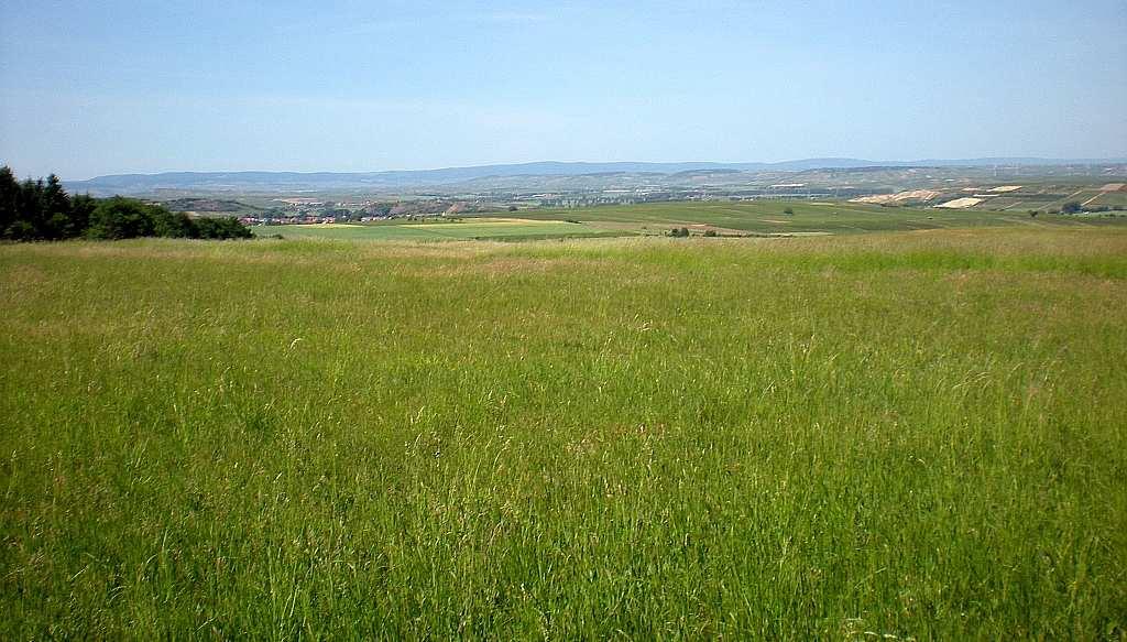 Am Aussichtpunkt Kuhacker angekommen weitet sich der Blick über Rheinhessen hinaus bis zum jenseits dem Rhein liegenden Taunus: Im Westen können Sie das Binger Loch, den Taleinschnitt des Rheins der