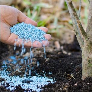 die den Boden wieder fruchtbar machen sollte. Diese Methode der Fruchtbarmachung von Böden wurde nach und nach überall üblich ob mit oder ohne Flächenstilllegung.