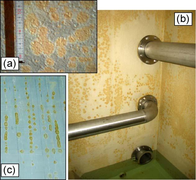 Observations in tap water reservoirs Deterioration of cement-based materials