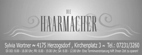 Single Frauen In Herzogsdorf Single Event Schlierbach 